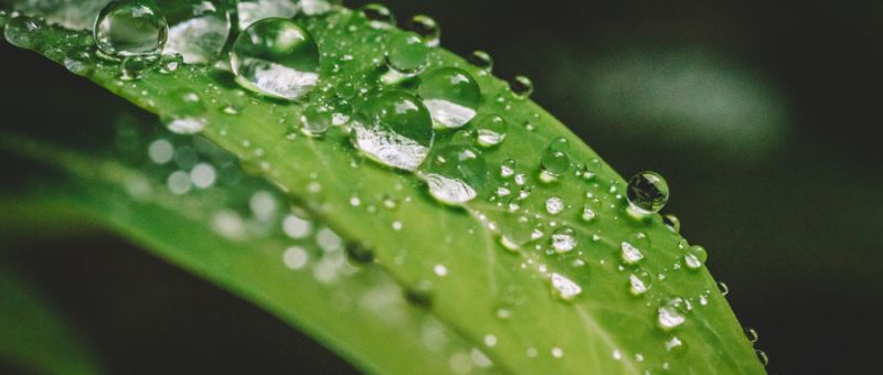 環(huán)境影響評(píng)價(jià)的常用術(shù)語介紹